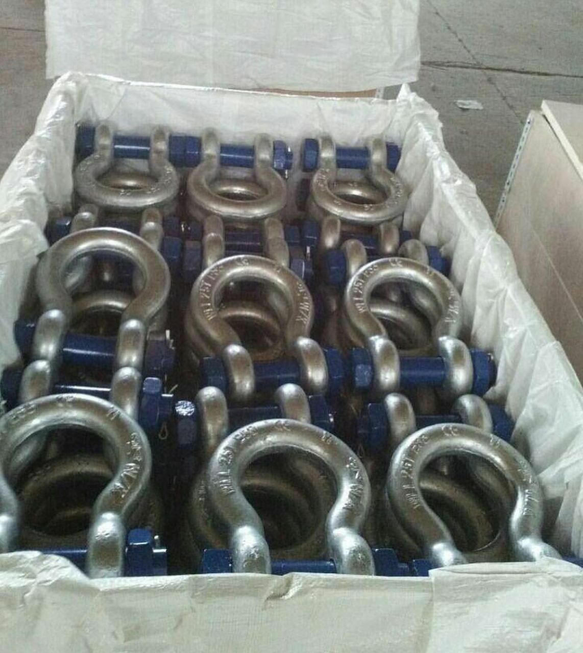 شگل تناژ دار ، نعل اسبی