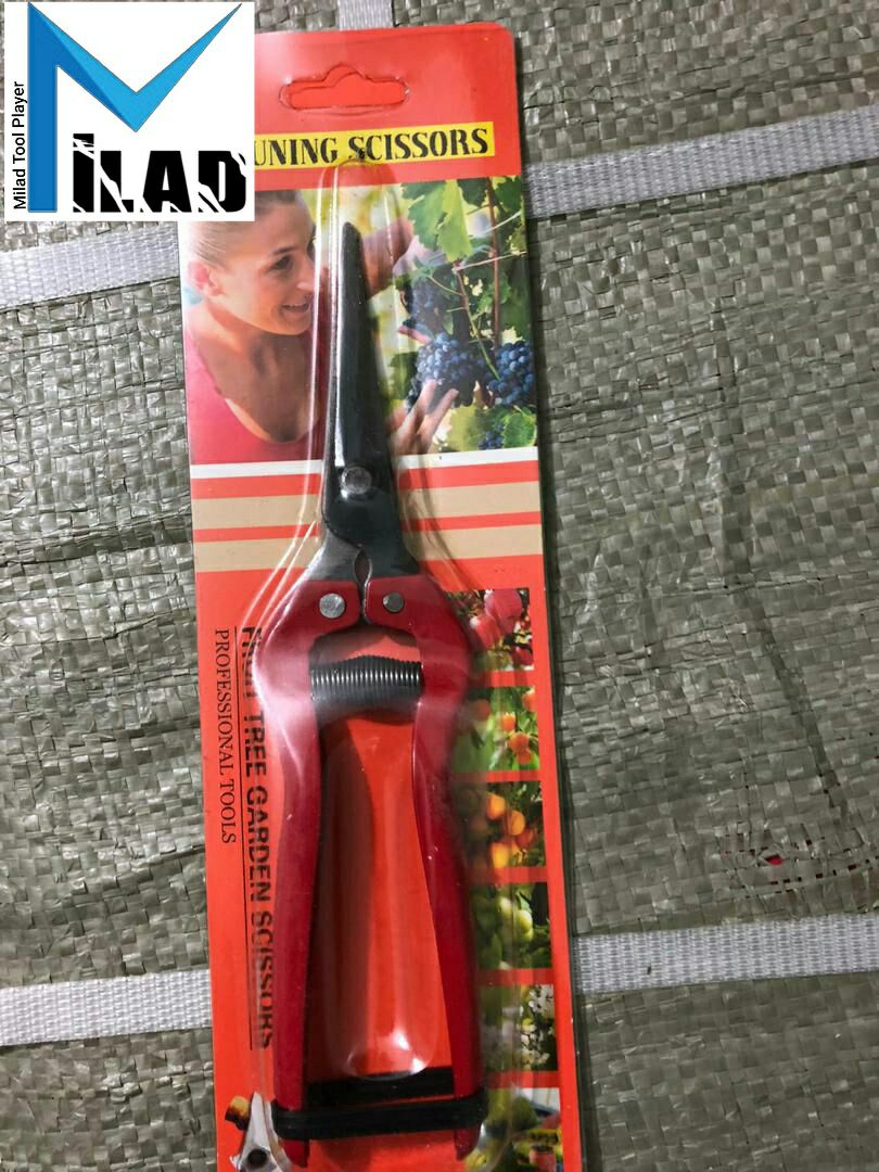 قيچی میوه چینی دسته فلزی قیمت مناس