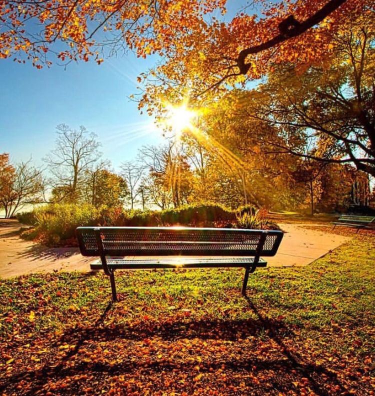 ﷽امروز چهارشنبه ١٣٩٩/٧/٩برای ا