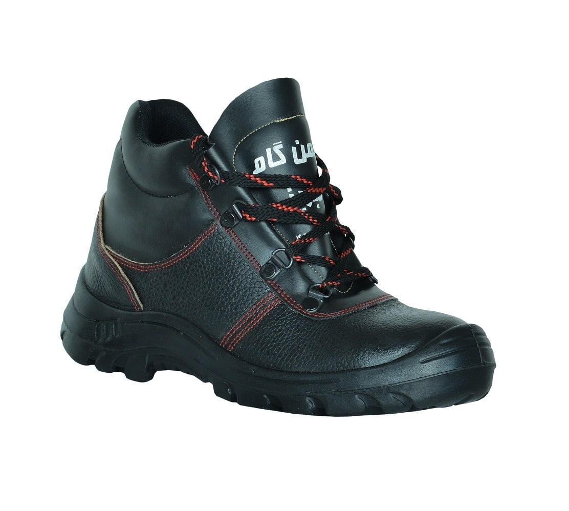 پوتین ایمنی