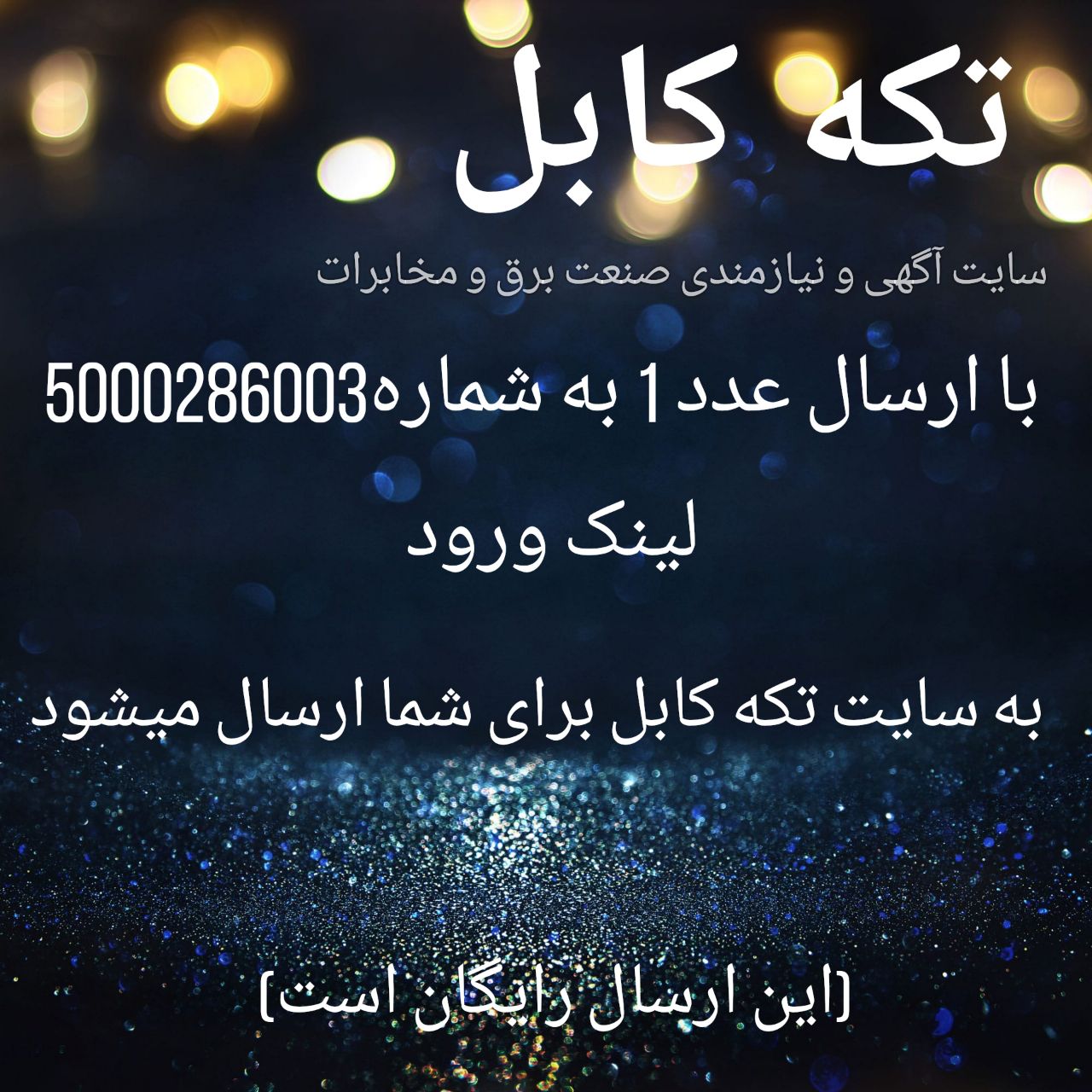 شماره 1 را به 5000286003 پیامک کنید