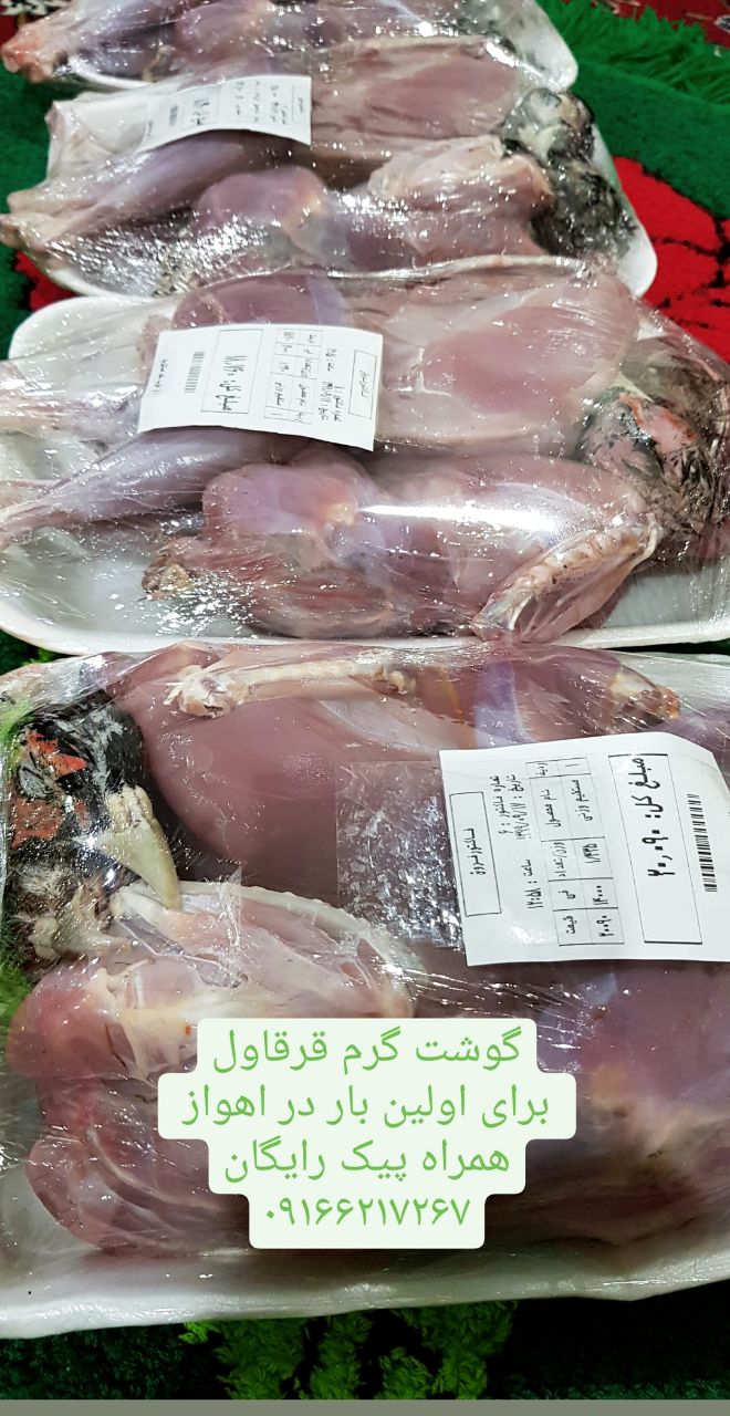 فروش گوشت گرم قرقاول در اهواز برای 