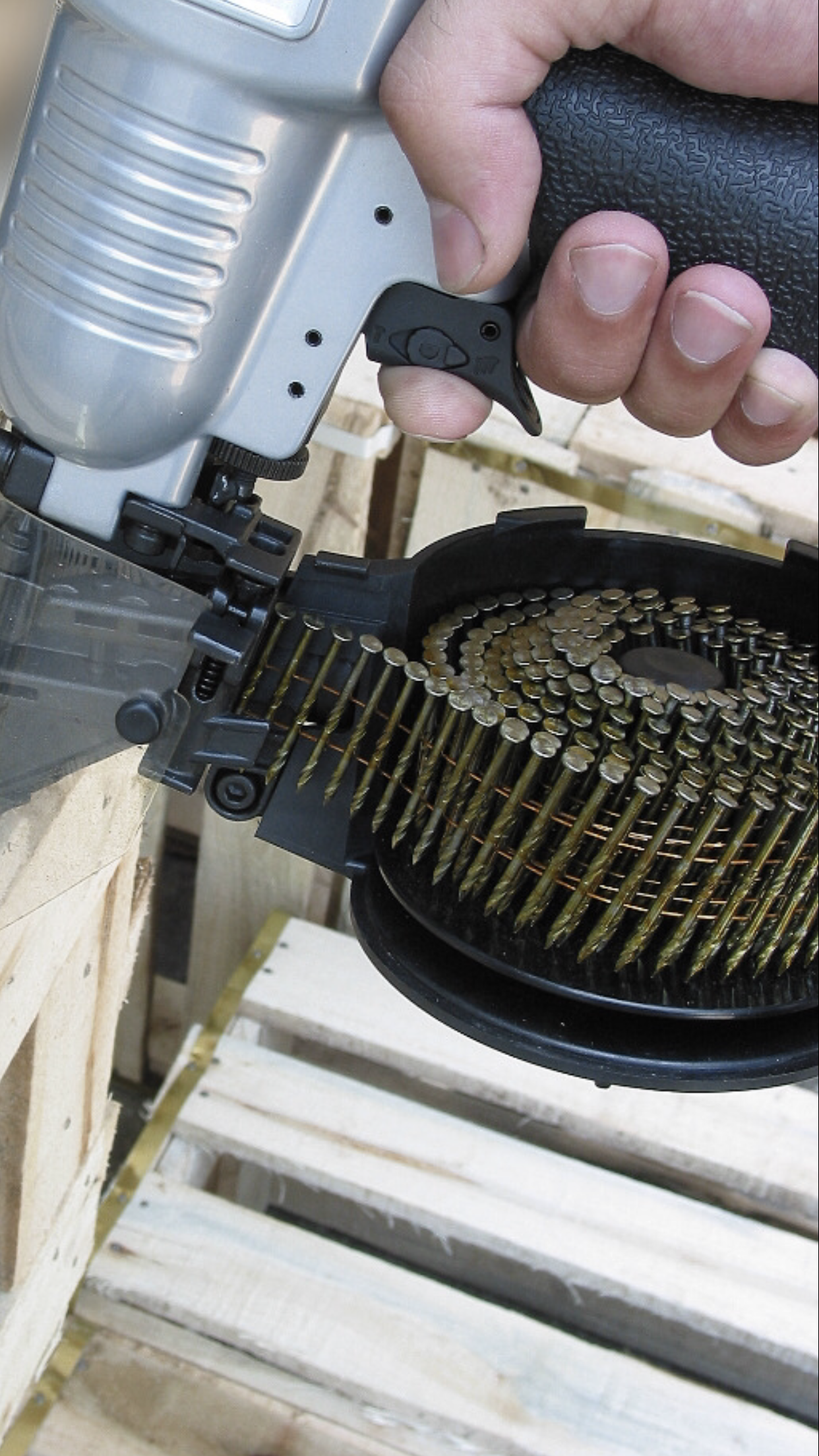 ميخ بادى ويستا