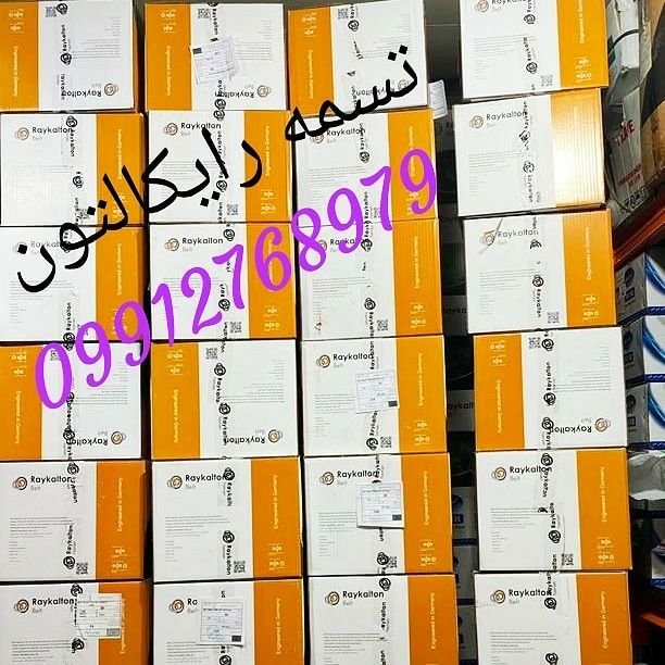 تسمه رایکالتون با تخفیف ویژه099127