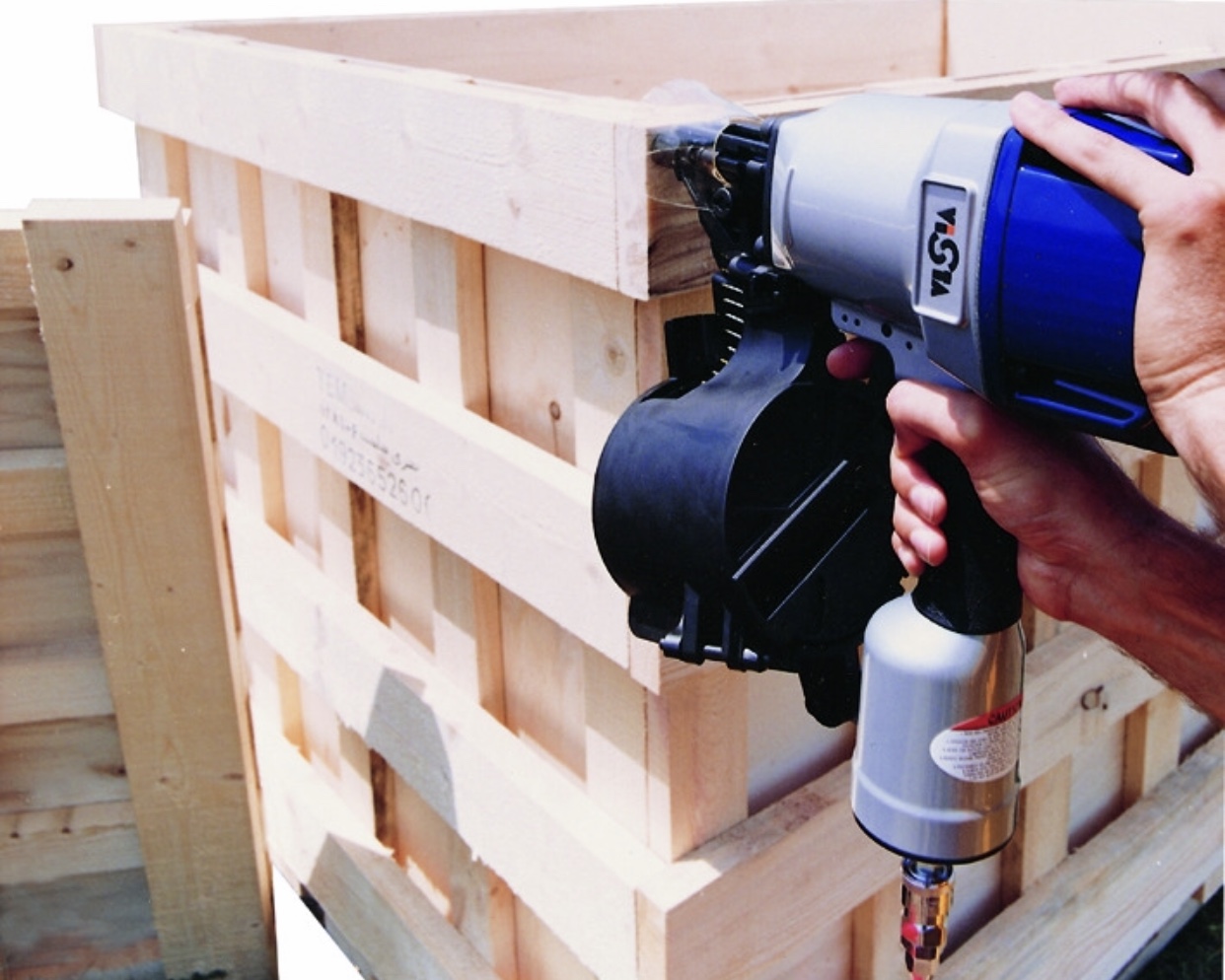 ميخكوب نوارى