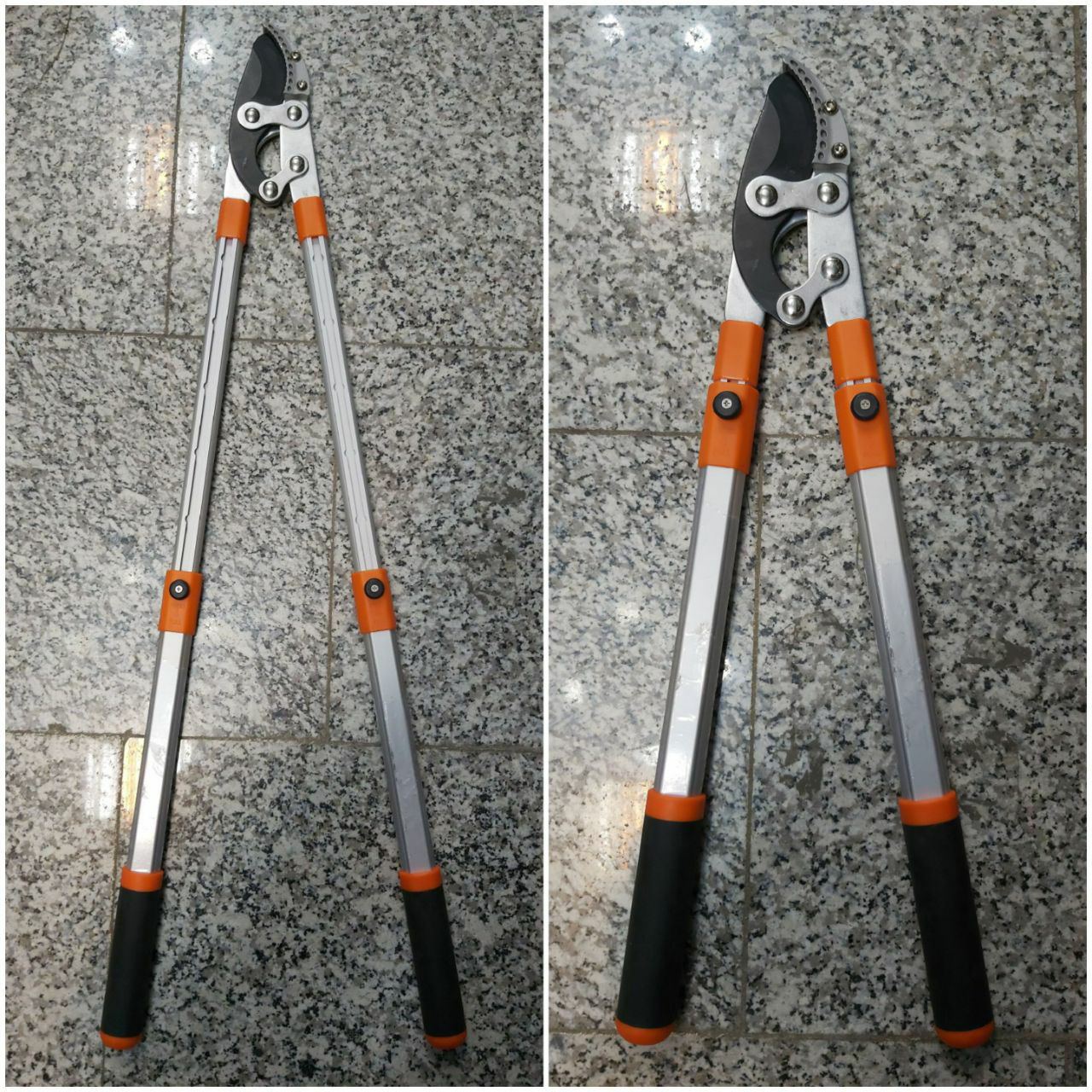 بار جدید شاخه زن رسیدقیمت ۴۷۵۰۰۰۰۰