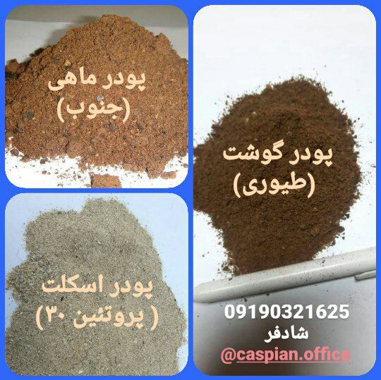 با سلام خدمت همه بزرگواران عزیز پ