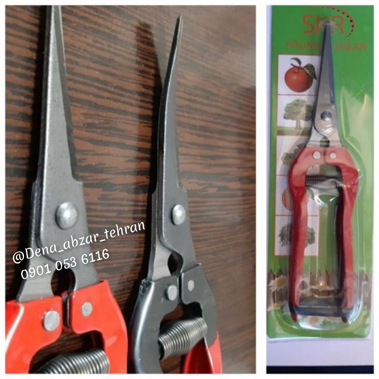 قیچی میوه چینی سرکج و سر صاف قیمت