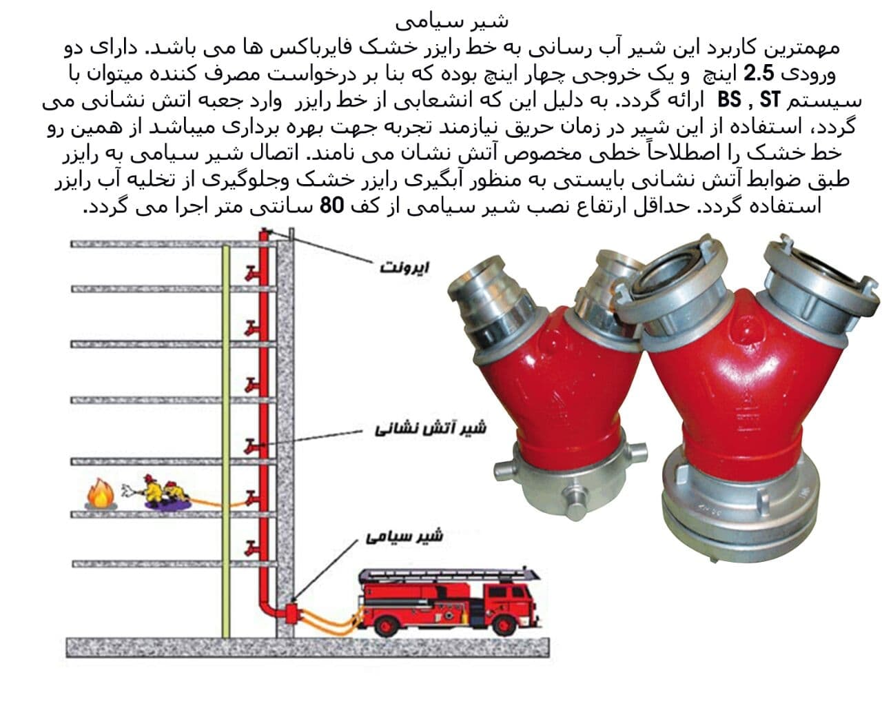 ️شیر سیامی️مهمترین کاربرد این شیر