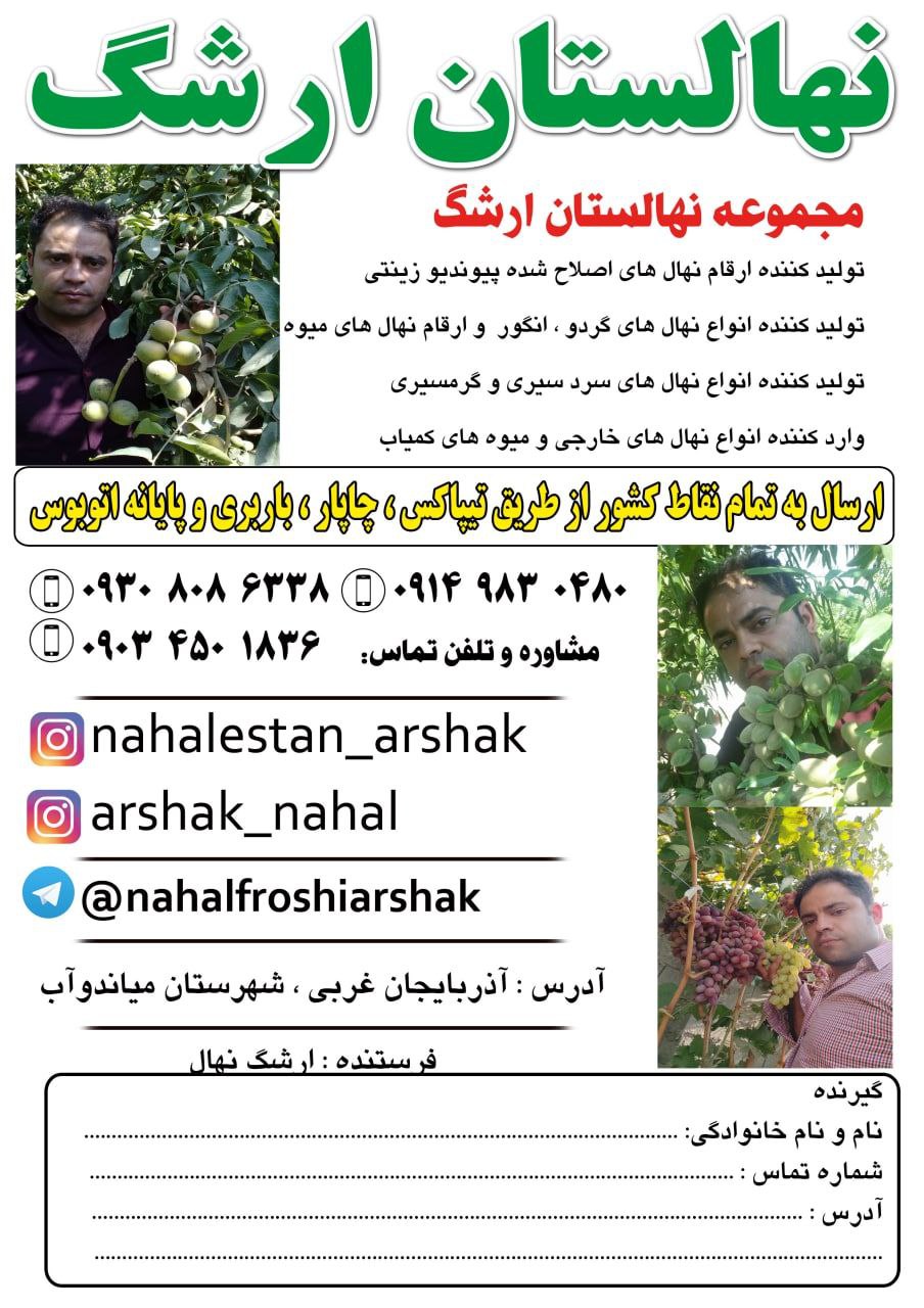 نهالستان ارشگ تولیدکننده انواع نهال