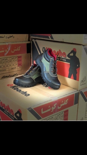 پوتین ایمنی کوشا