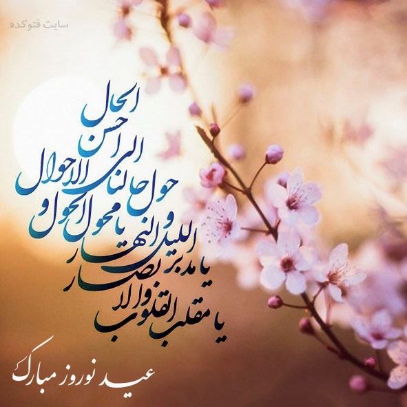 يا مقلب ، قلب من در دست توستيا مح