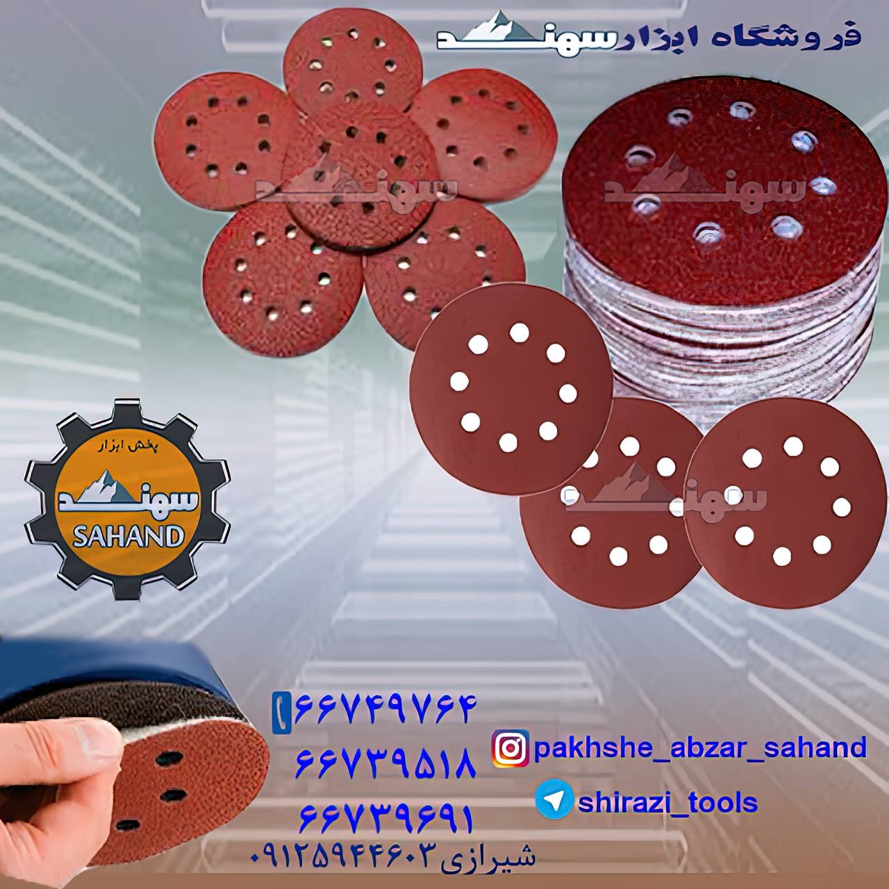 #سنباده_پشت_کرکی چیست؟به خانواده ا