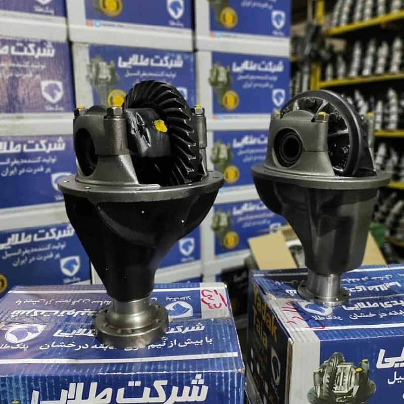 کله گاوی پیکان با گرانول پنیوم هند