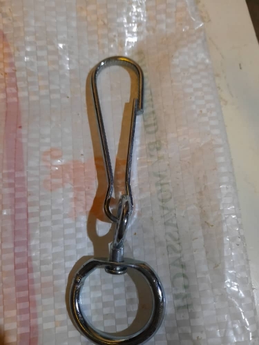 هرزه گرد فنردار