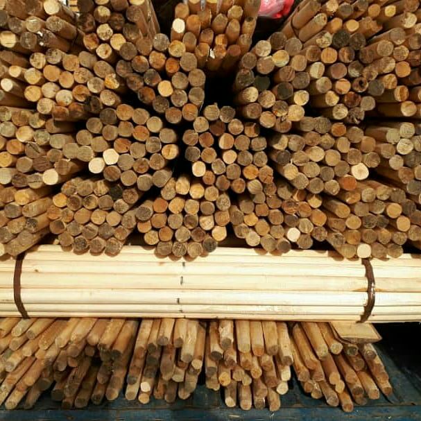 دسته بیل و کلنگ سپیدار و چنار رسید
