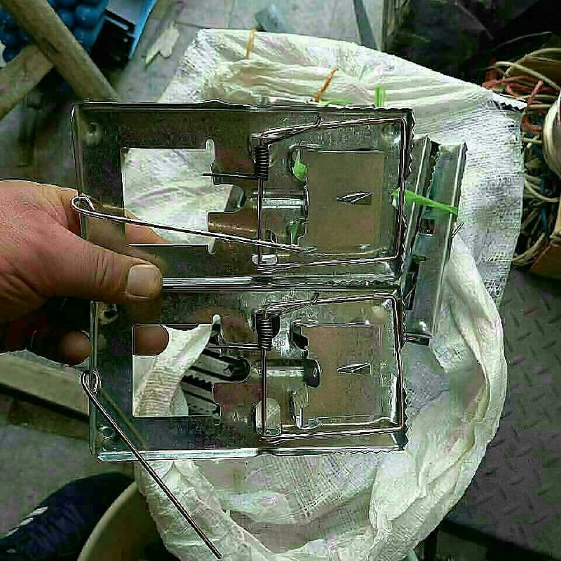 تله موش اماده ارسال