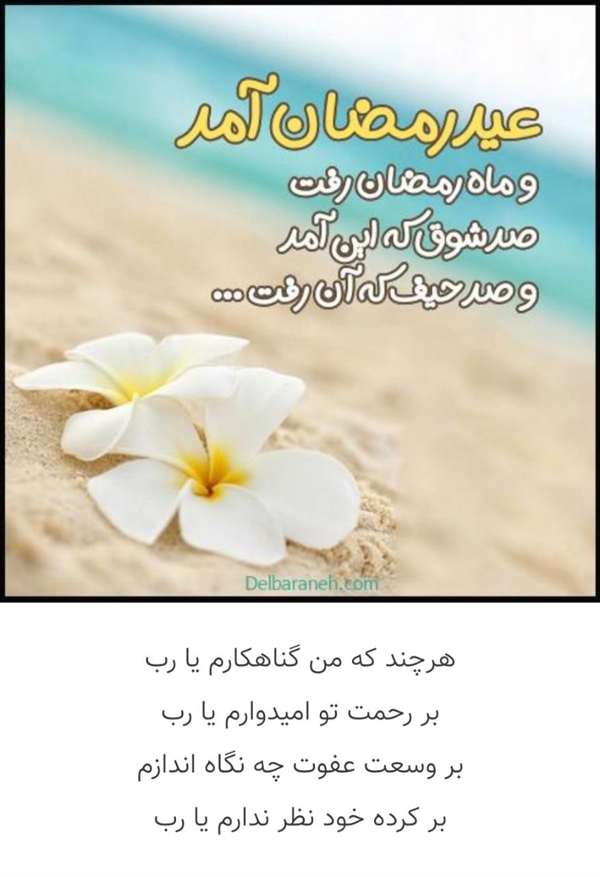 ️پخش ابزار سهیل️تلفن ثبت سفارش 