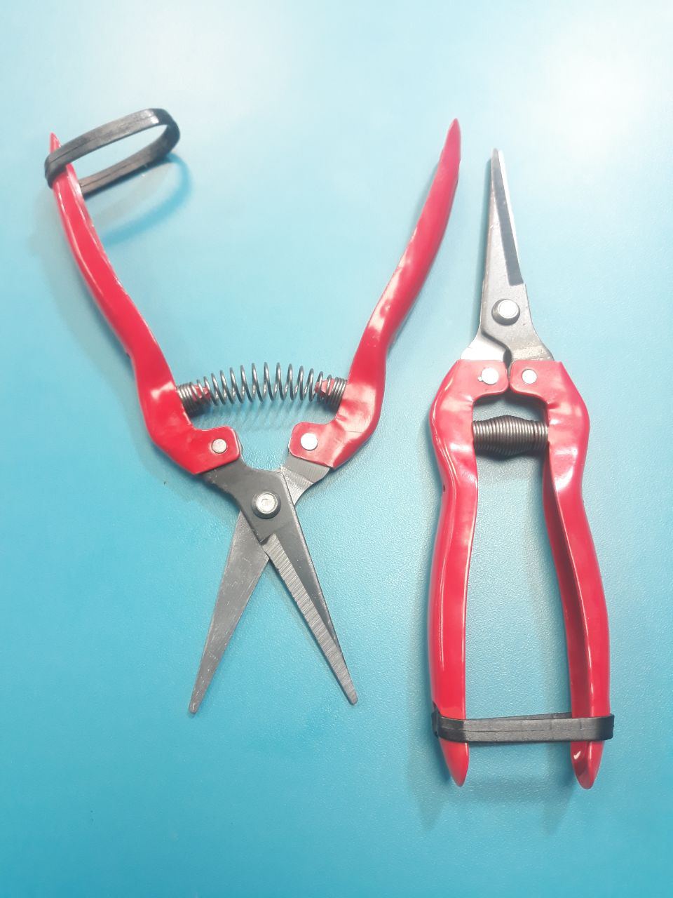 قیچی میوه چینی نوک تیزتعداد:۱۸۰عدد