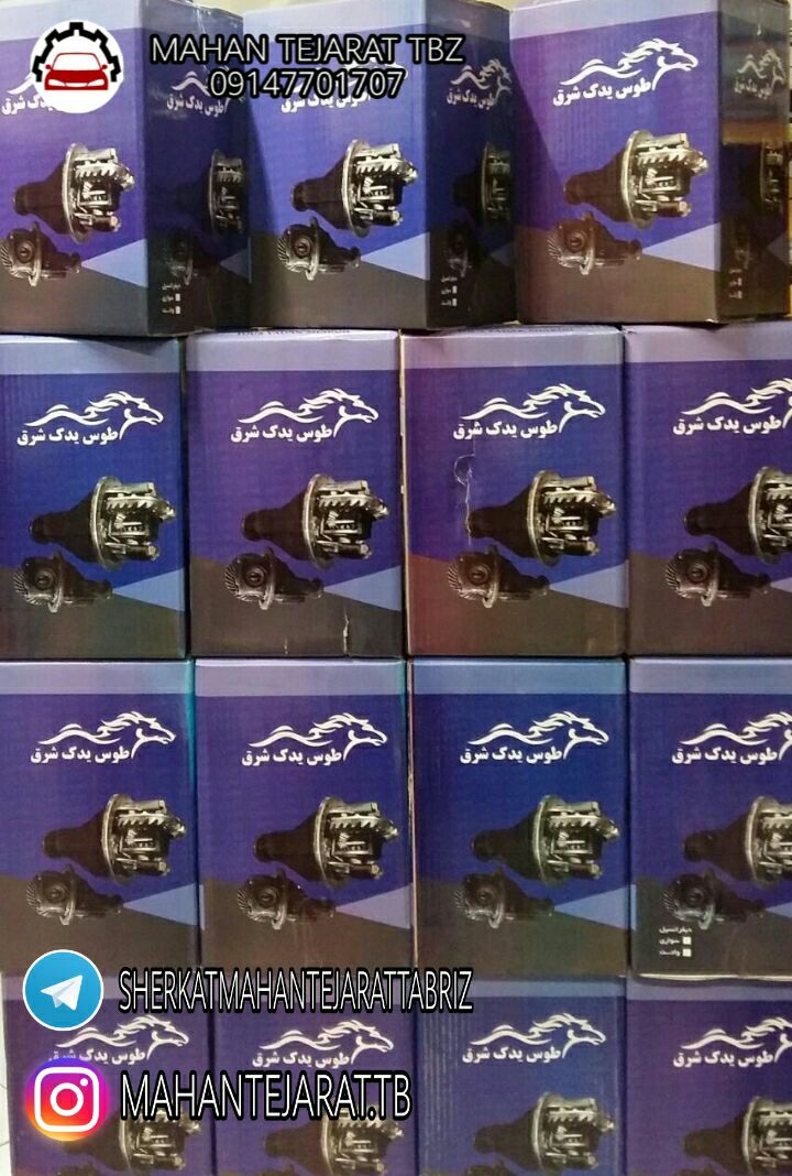 کله گاوی پیکان با گرانول پنیوم هند
