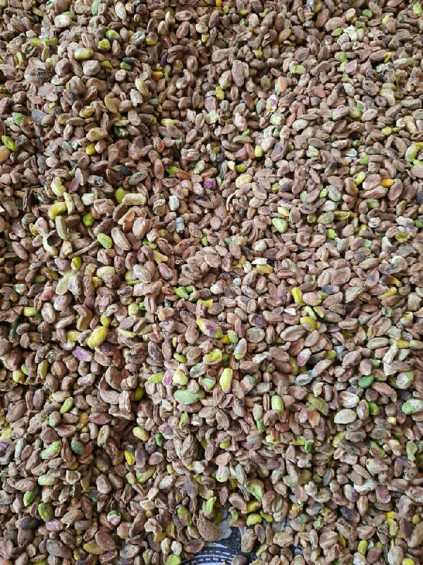 مغز پسته گندمی تمیز مستقیم از باغ