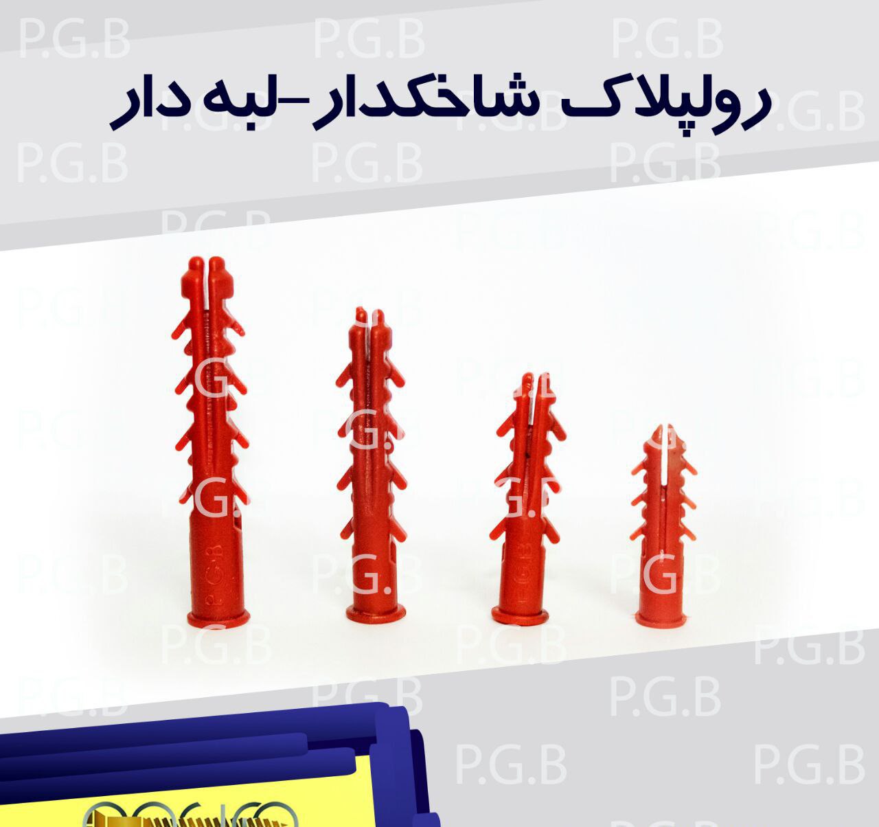 رولپلاک شاخکدار-لبه دار پوریا در 