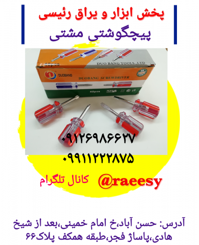 پیچگوشتی مشتی