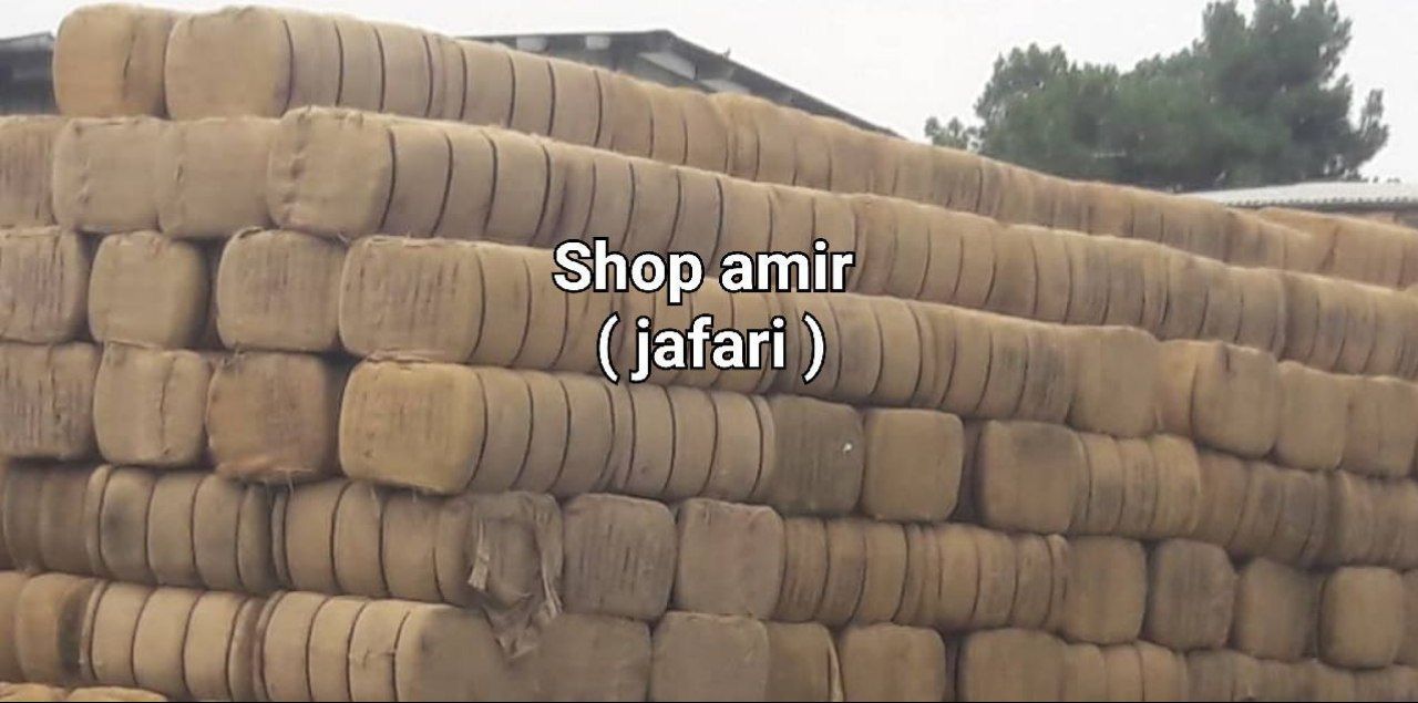قیمت آنلاین به روز ترین قیمت گونی 