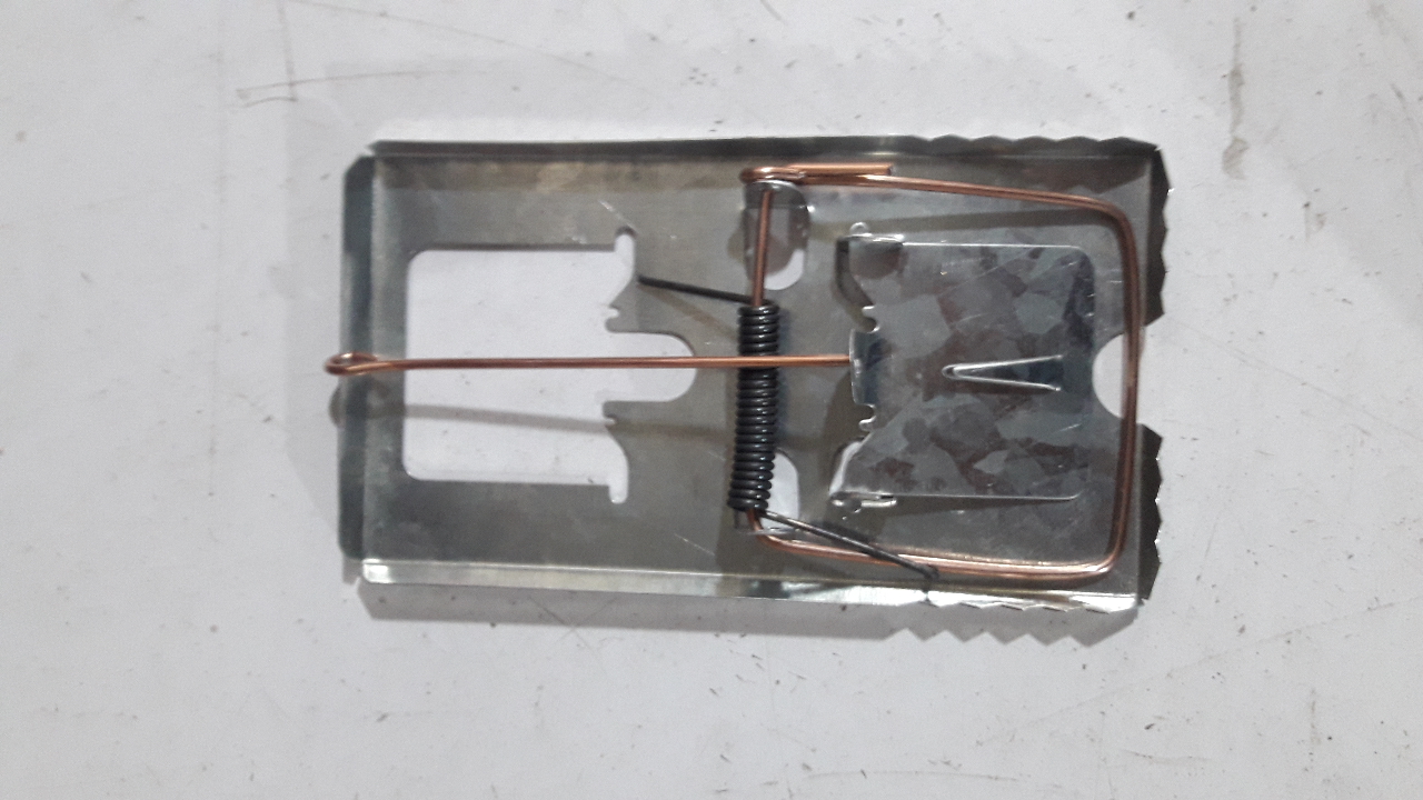 تولید تله موش فلزی و پلاستیکی