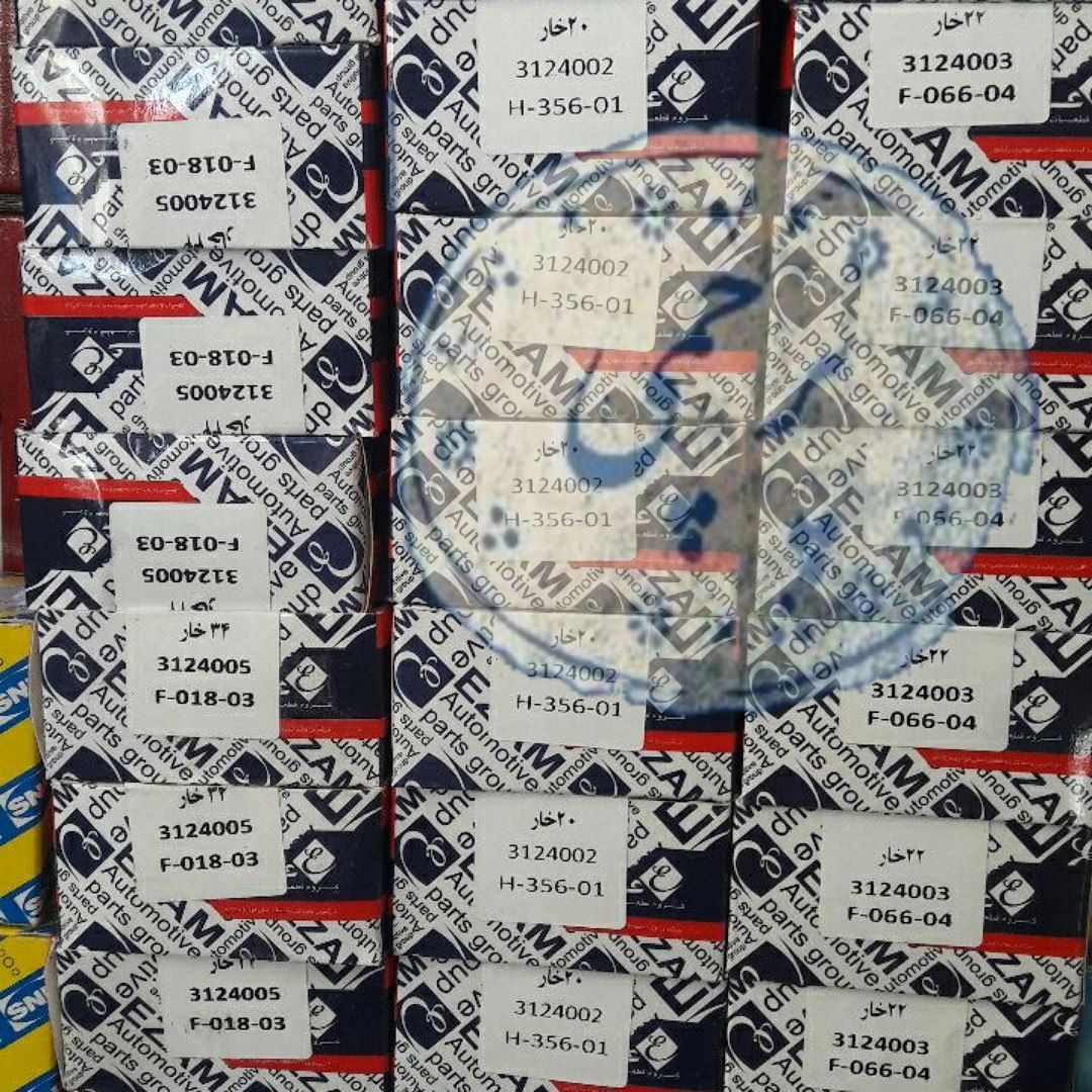 ⁦سه شاخه ۱۹ و ۲۰ خار پراید عظام 