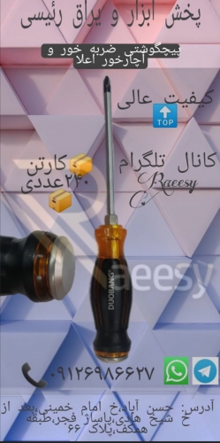 پیچگوشتی ضربه خور