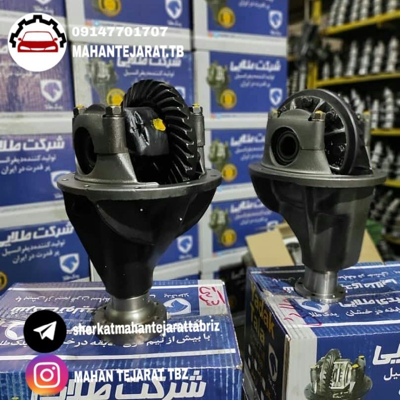 کله گاوی پیکان با گرانول پنیوم هند