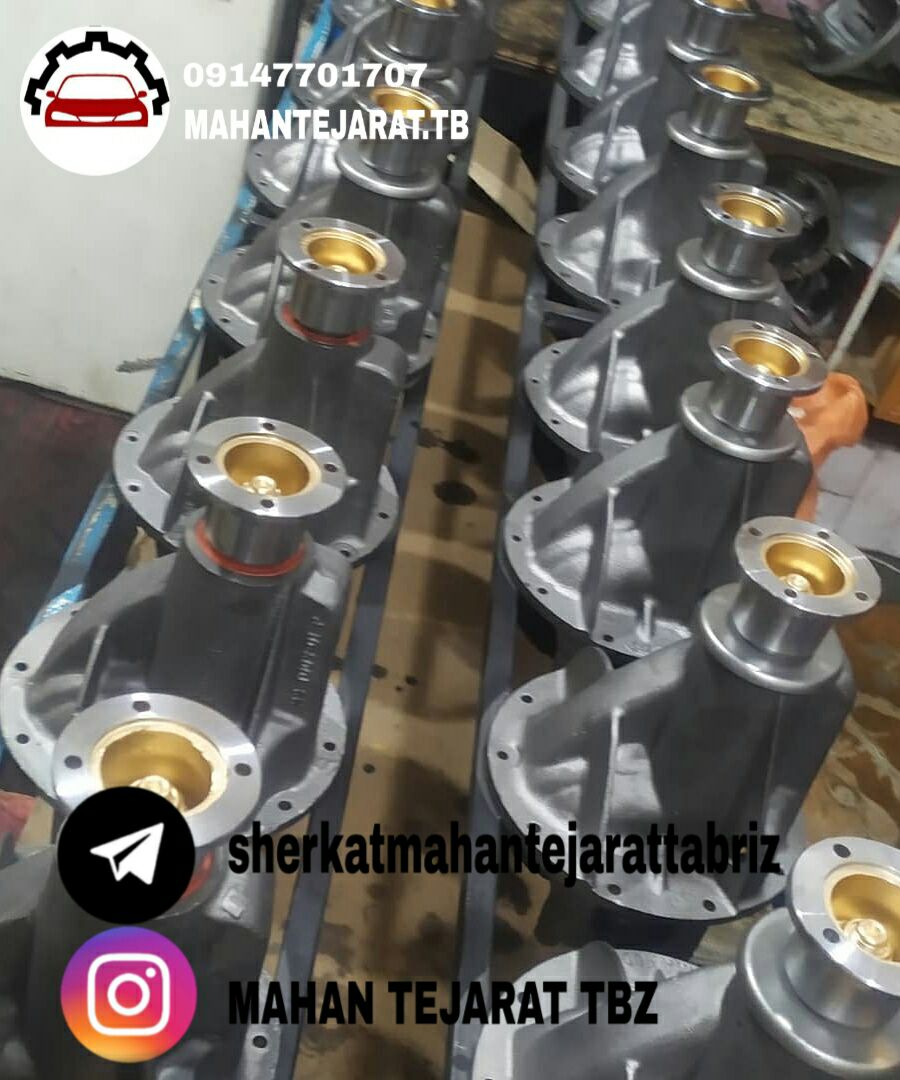 کله گاوی پیکان با گرانول پنیوم هند