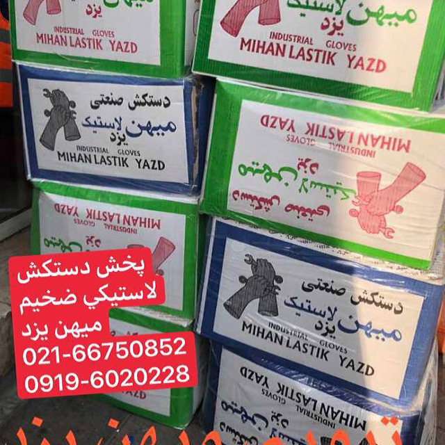 پخش دستكش ميهن يزد