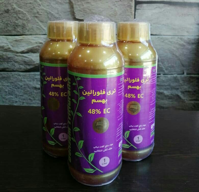 قابل توجه همکاران گرامیترفلانتول