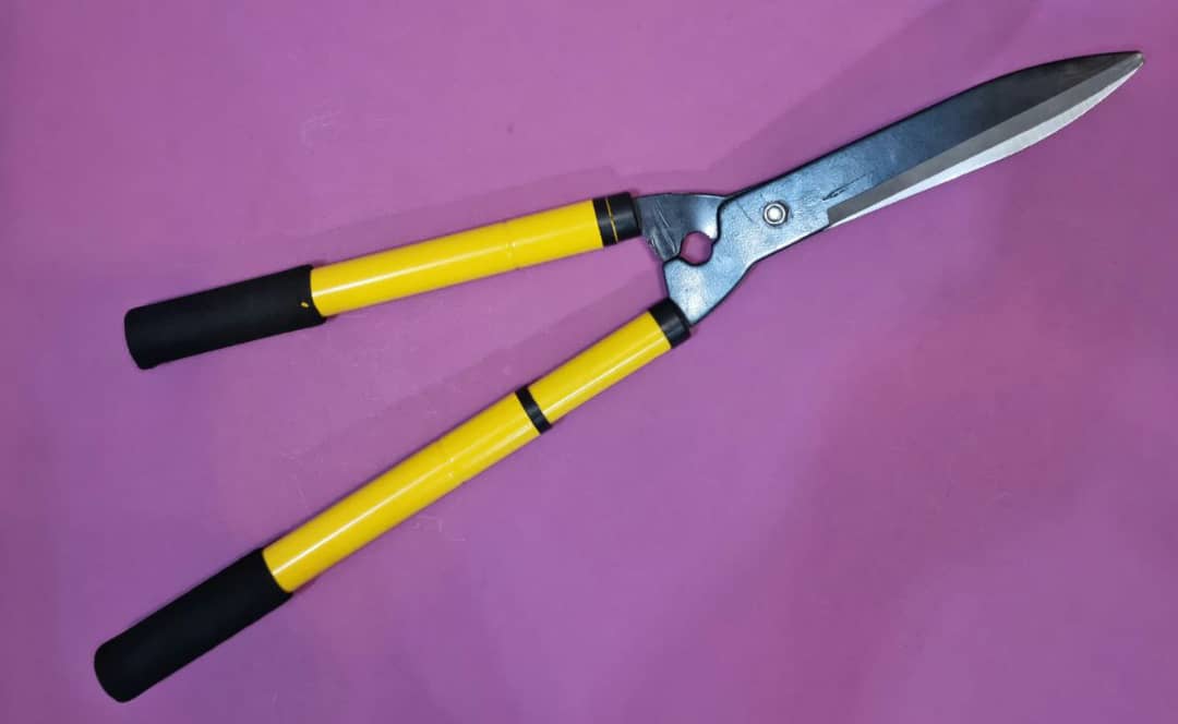 شمشاد زن تلسکوپی