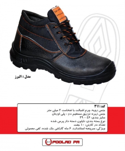 پوتین ایمنی