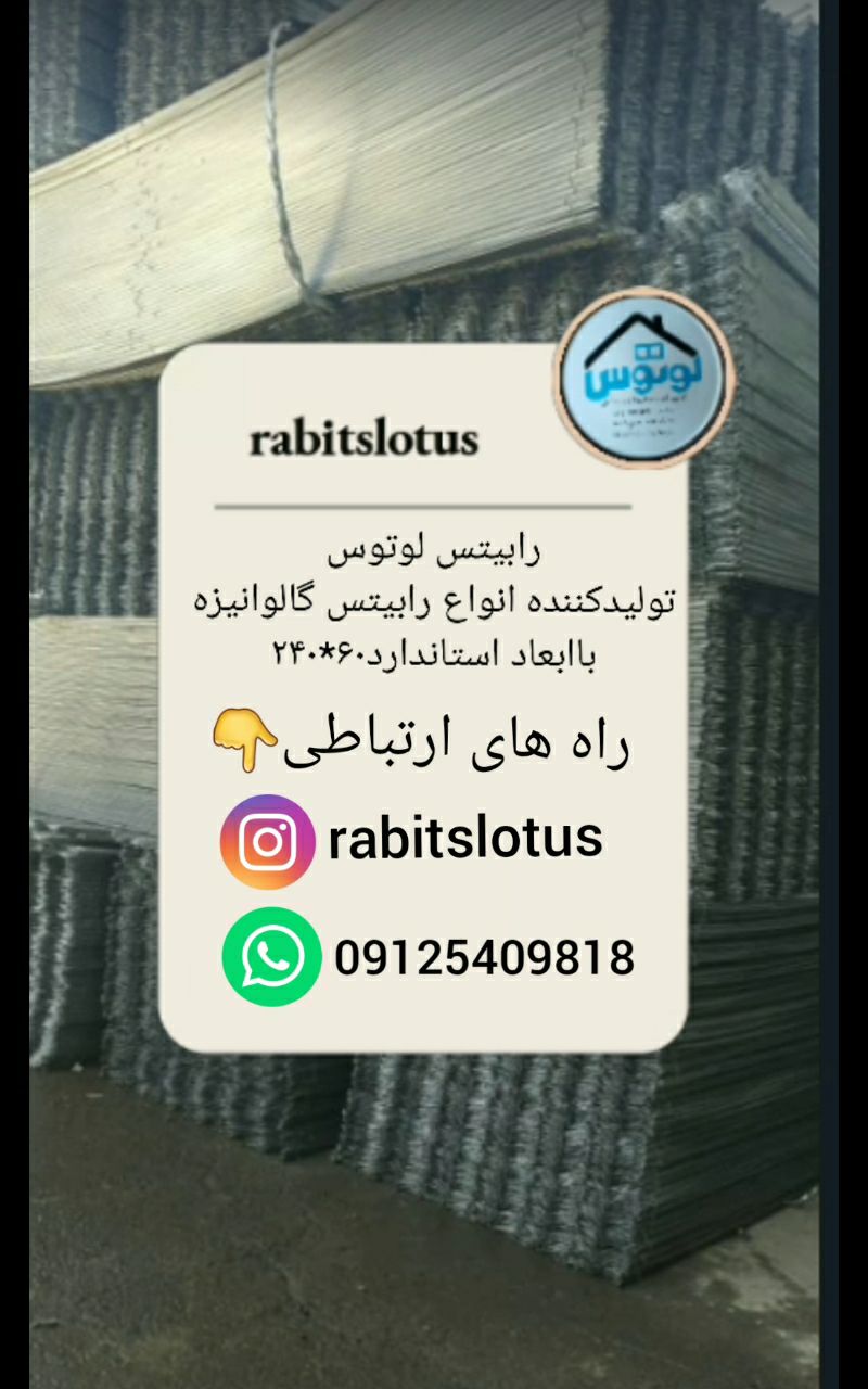 رابيتس لوتوس توليد كننده انواع را