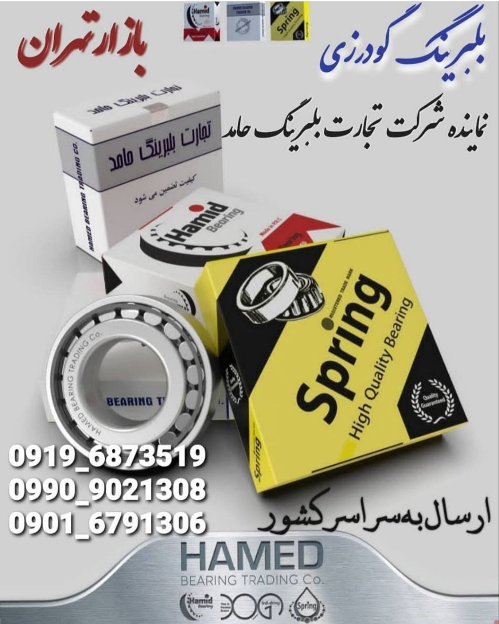 پخش بلبرینگ گودرزی