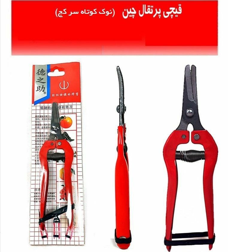 قیچی پرتقال چین اعلاء