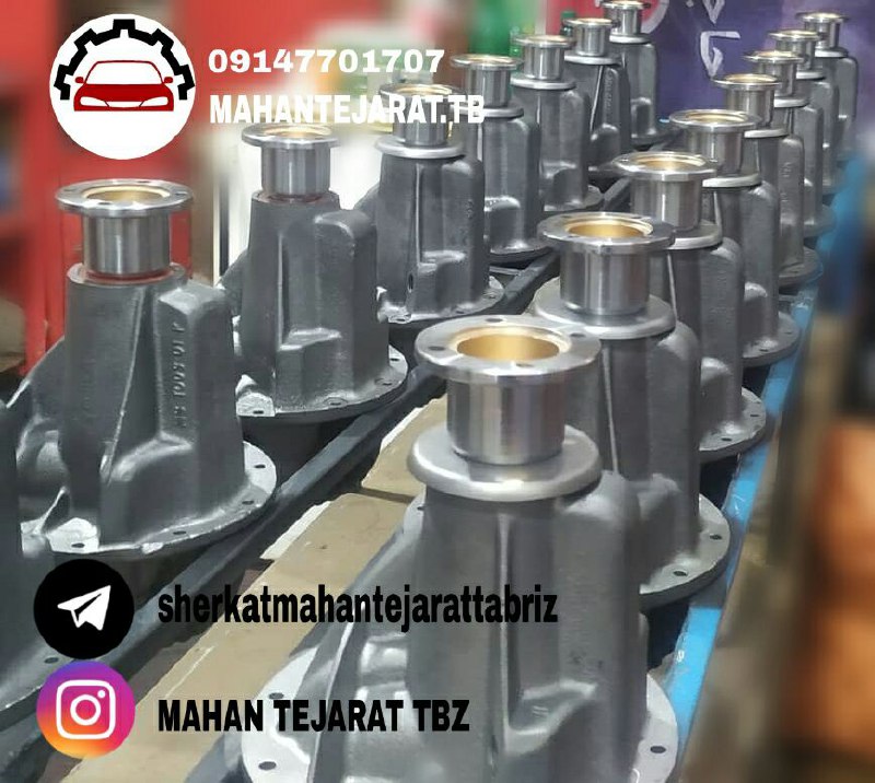 کله گاوی پیکان با گرانول پنیوم هند