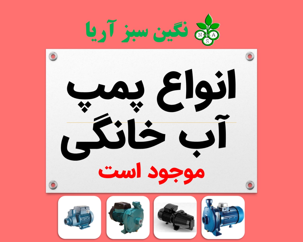 09125539725 - 