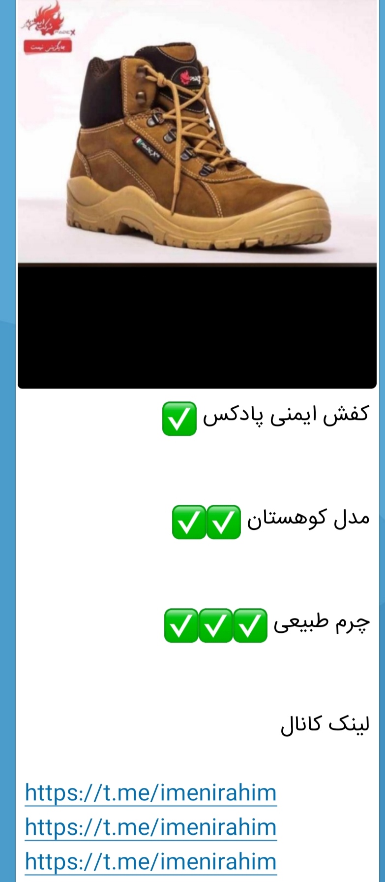 کفش ایمنی پادکس