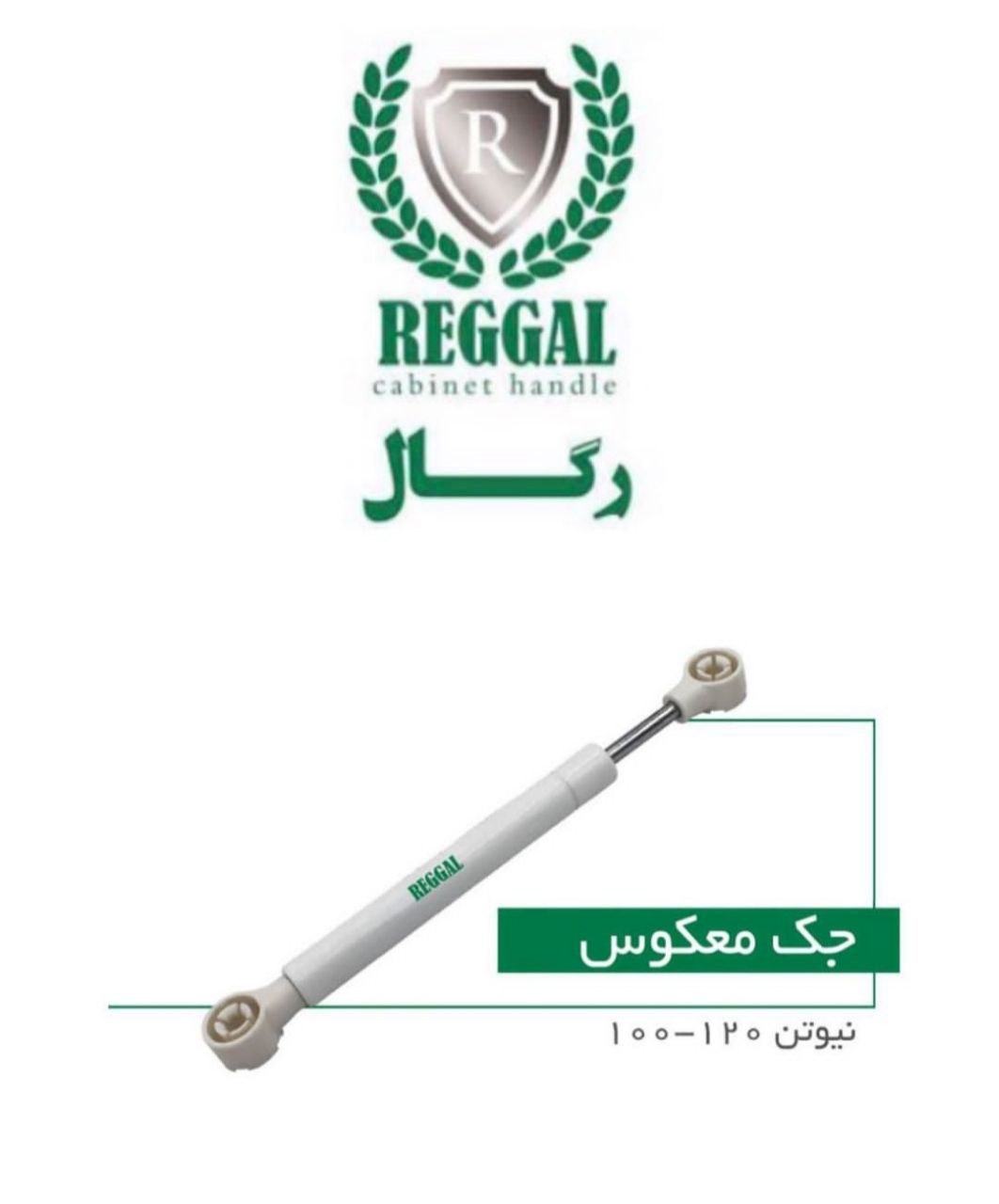 پخش مستقیم محصولات رگال ... پخش 
