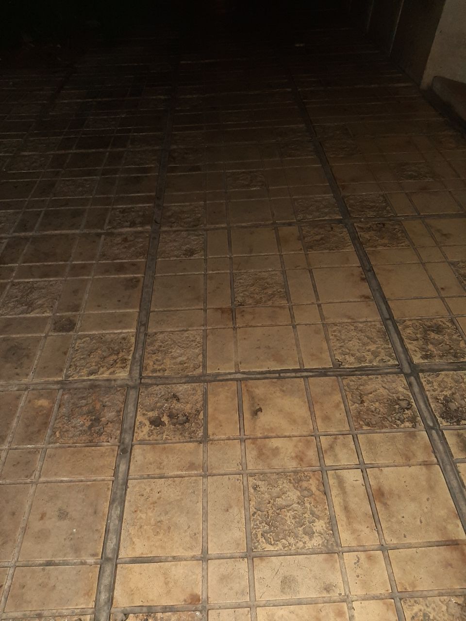 سمنت پلاست مصنوعی کار شده در کف با 