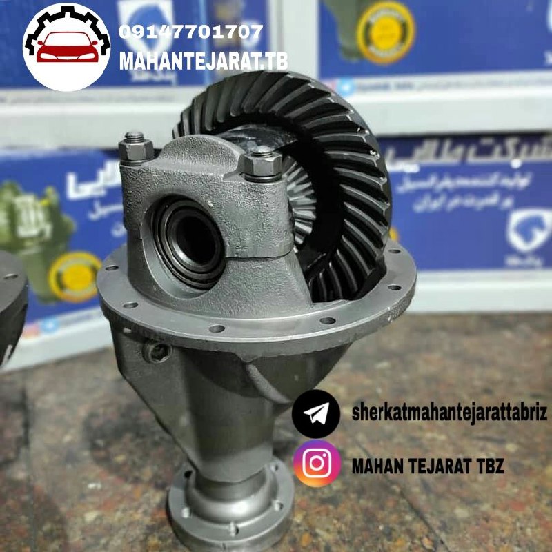 کله گاوی آریسان و روآ سال با گرانو