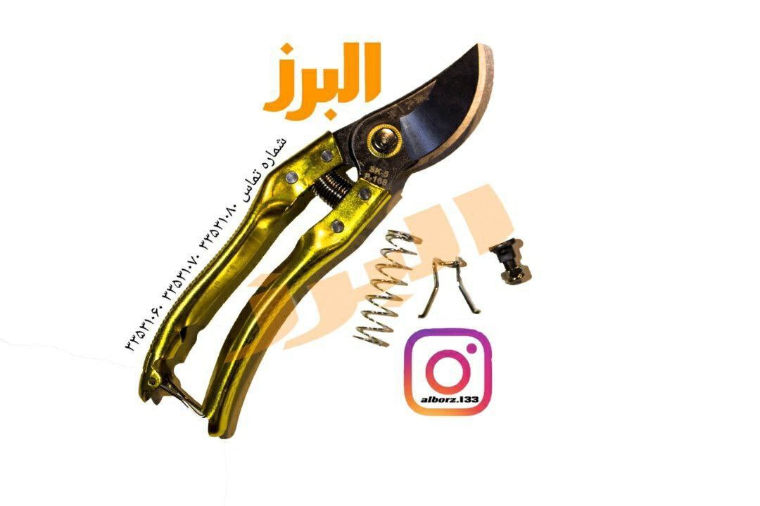 #قیچی#قیچی باغ️️️️قیچی باغ طلایی