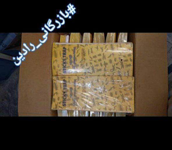 چسب کارت حشرات