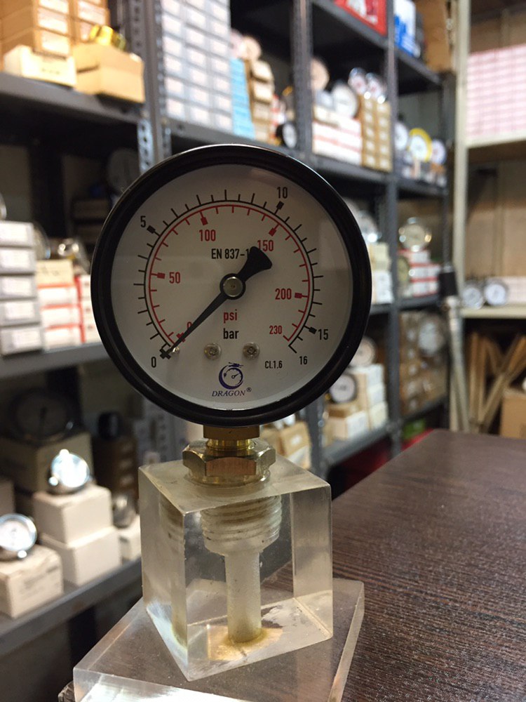 پخش انواد درجه باد با رنج های مختلف