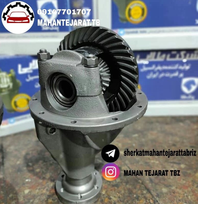 کله گاوی آریسان و روآ سال با گرانو